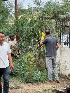 مركز بوزريعة ينخرط في حملة التزيين وحماية المحيط في اليوم العالمي للبيئة