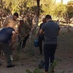 مشاركة جامعة التكوين المتواصل بمختلف مراكزها في الحملة الوطنية للتشجير 5